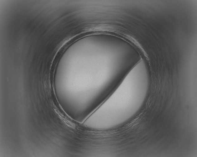 X0000054420980200507290921