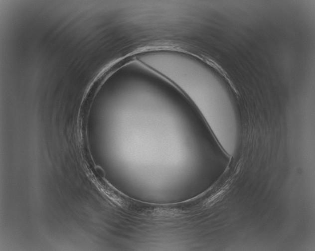 X0000054420981200507290921