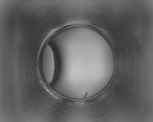 X0000054420982200507290921