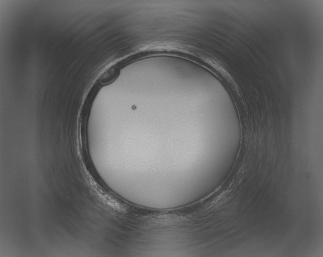 X0000054420984200507290921