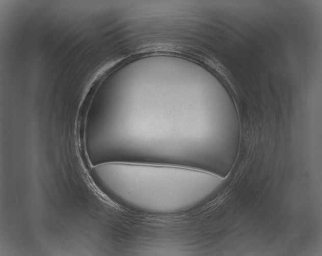 X0000054420987200507290921