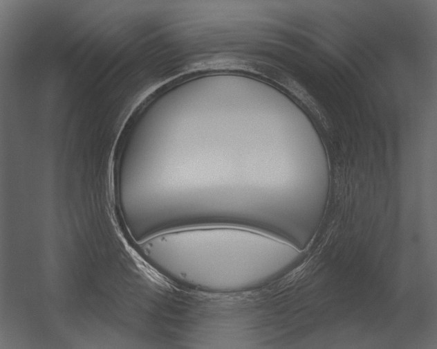X0000054420988200507290921