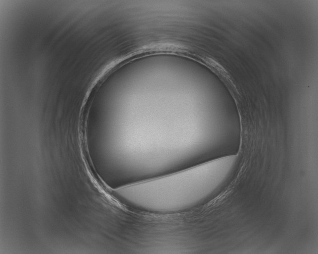 X0000054420989200507290921