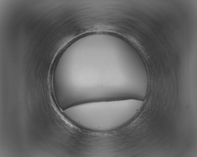 X0000054420990200507290921
