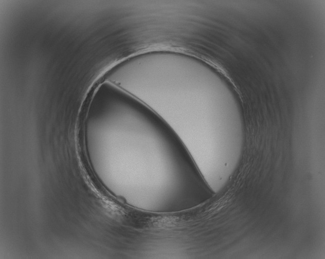 X0000054420991200507290921