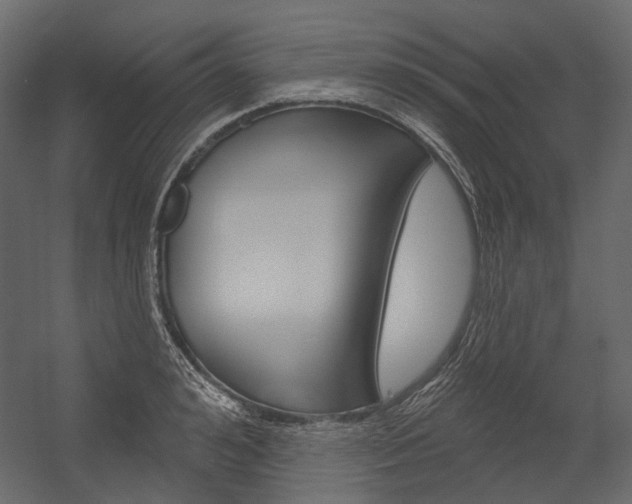 X0000054420992200507290921