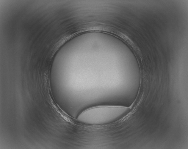 X0000054420993200507290921