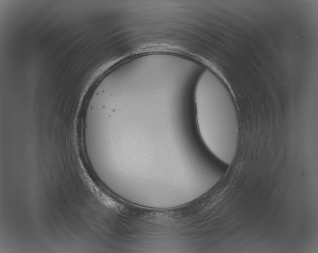 X0000054420995200507290921