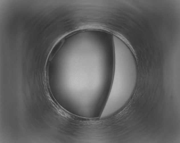 X0000054420996200507290921