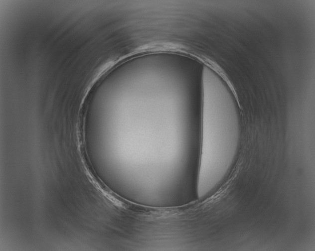 X0000054420997200507290921