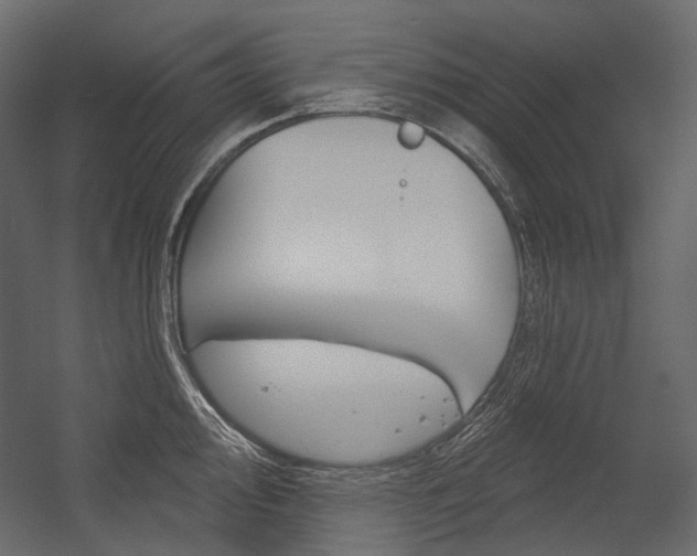 X0000054421000200507290921
