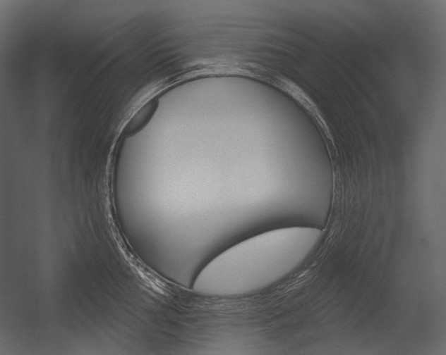 X0000054421002200507290921