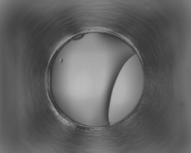 X0000054421003200507290921