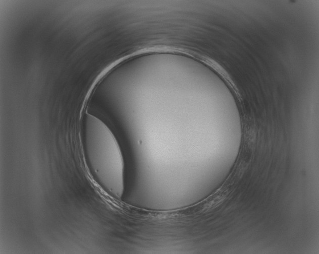 X0000054421004200507290921