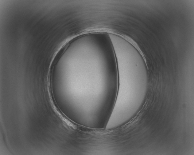 X0000054421005200507290921