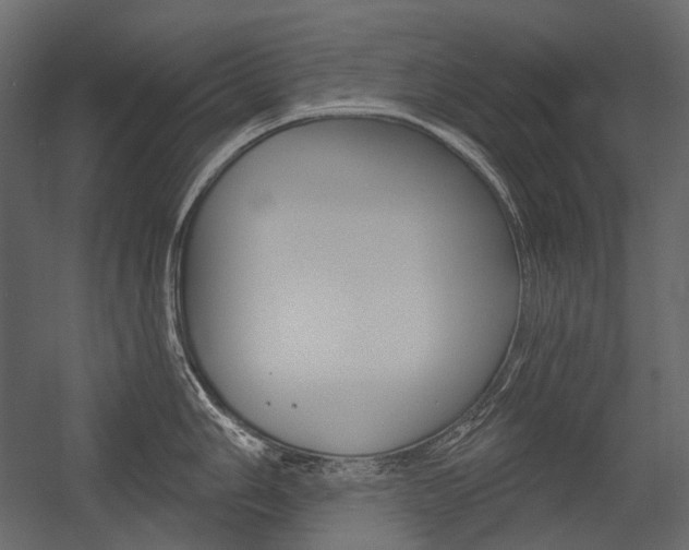X0000054421006200507290921