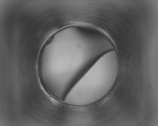 X0000054421007200507290921