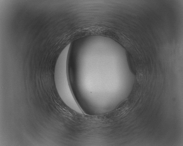 X0000054421010200507290920