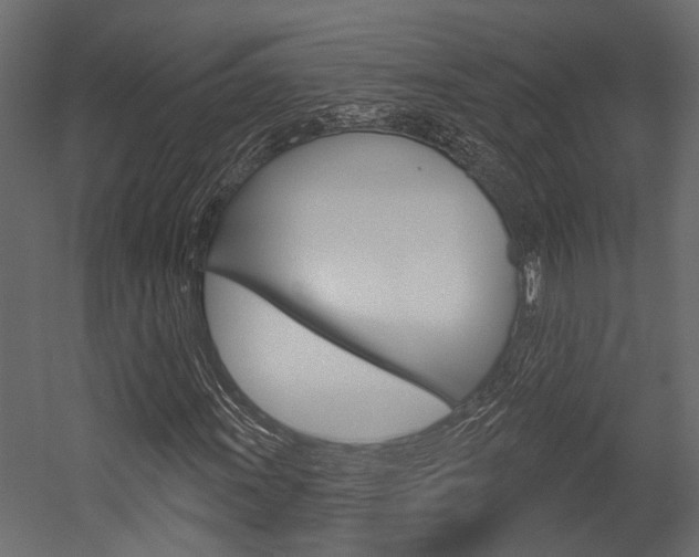 X0000054421011200507290920