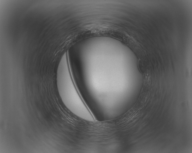 X0000054421012200507290920