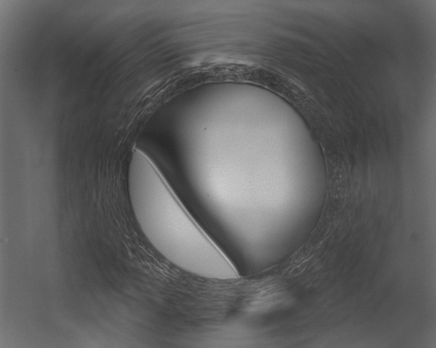 X0000054421013200507290920
