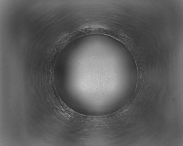 X0000054421014200507290920