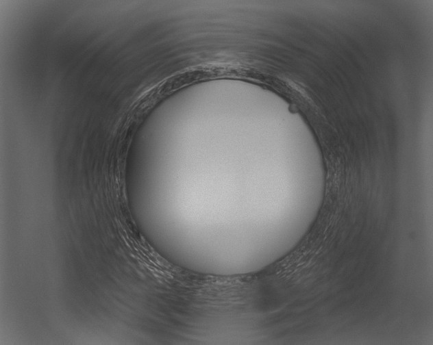 X0000054421015200507290920