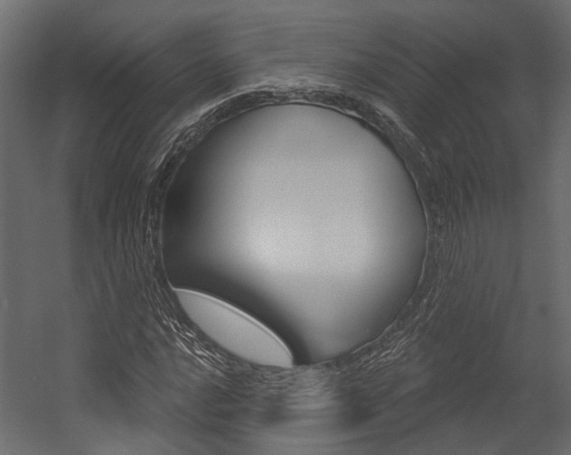 X0000054421016200507290920