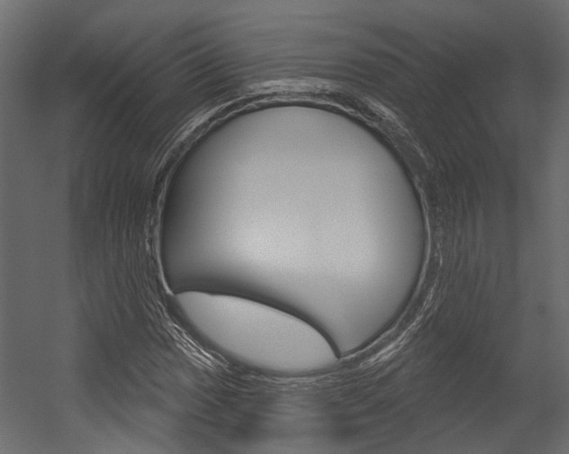 X0000054421017200507290920