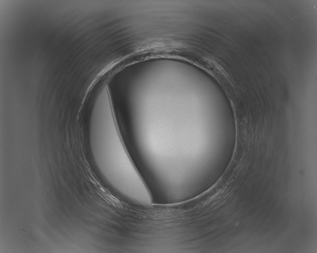X0000054421018200507290920