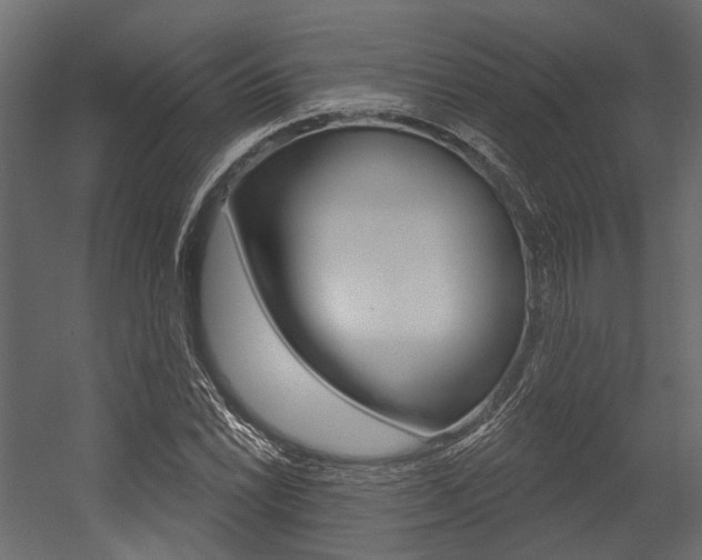 X0000054421022200507290920