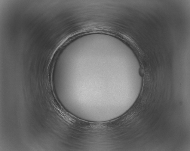 X0000054421023200507290920