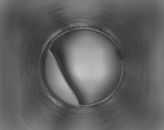 X0000054421026200507290920
