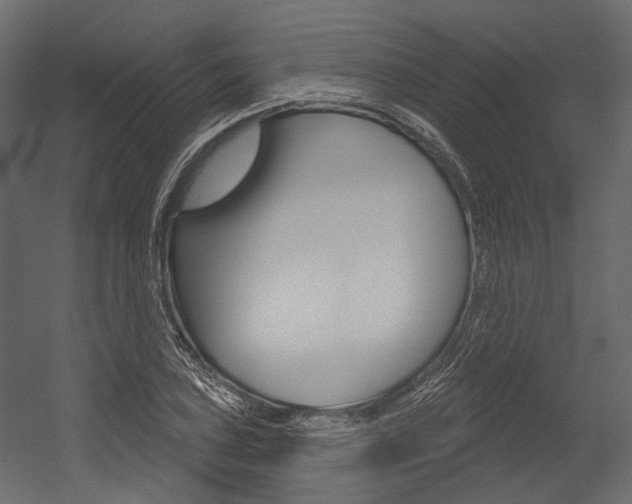 X0000054421027200507290920