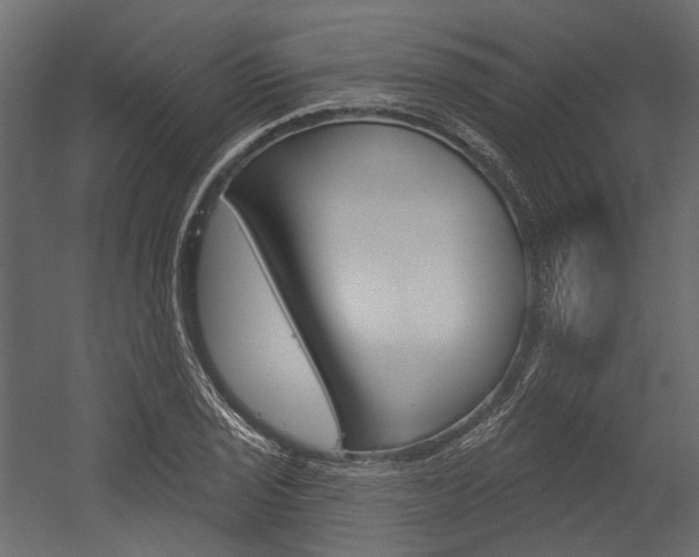 X0000054421029200507290920