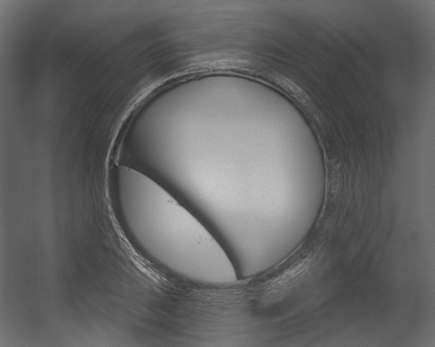 X0000054421031200507290920