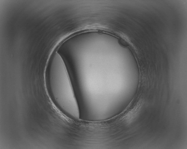 X0000054421032200507290920