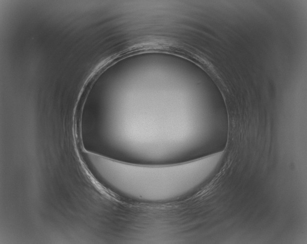 X0000054421034200507290920