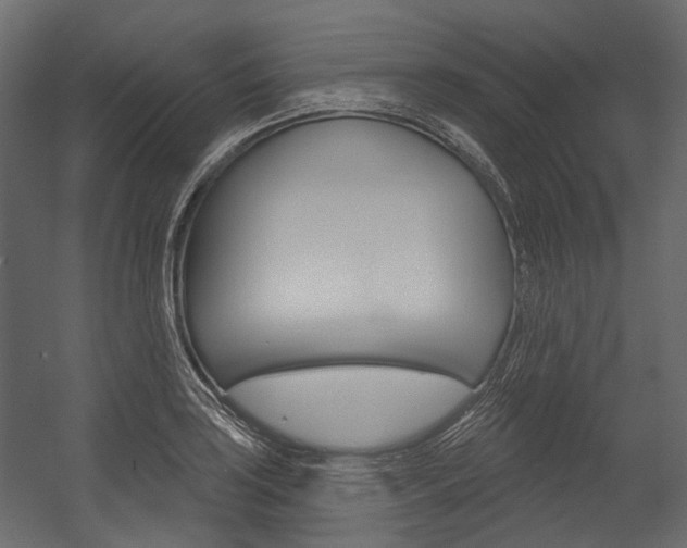 X0000054421035200507290920