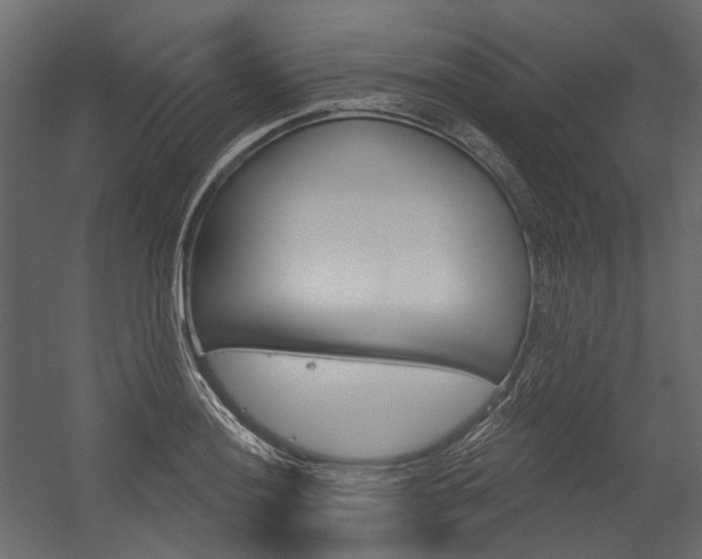 X0000054421036200507290920