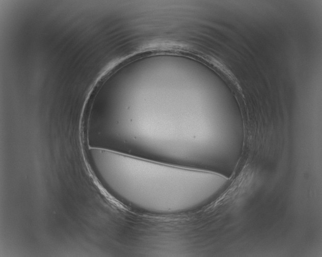 X0000054421037200507290920