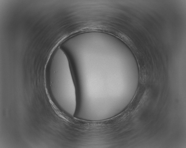 X0000054421039200507290921