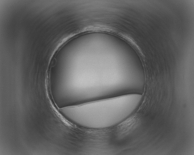 X0000054421040200507290921