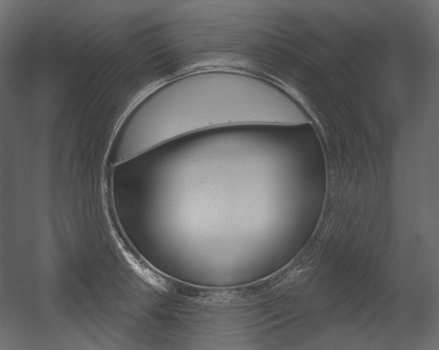 X0000054421042200507290921