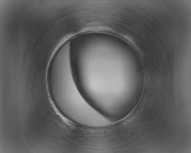 X0000054421046200507290921