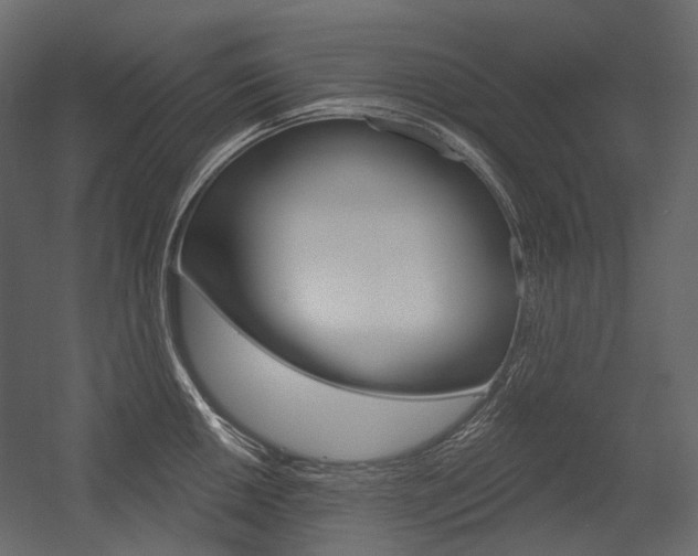 X0000054421050200507290921