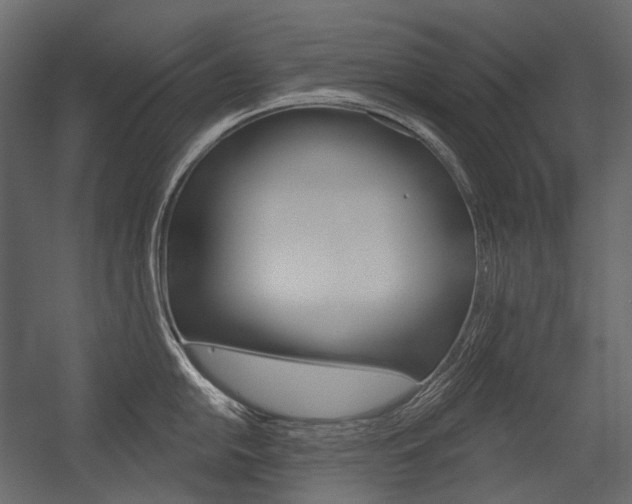 X0000054421054200507290921