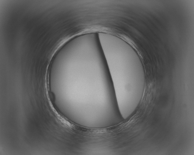X0000054421055200507290921