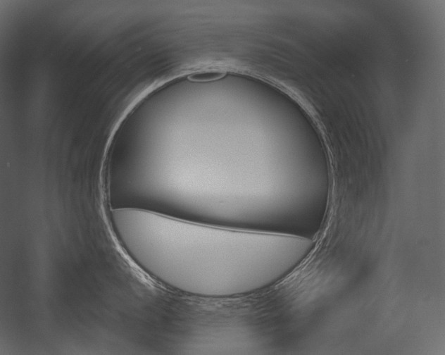 X0000054421056200507290921