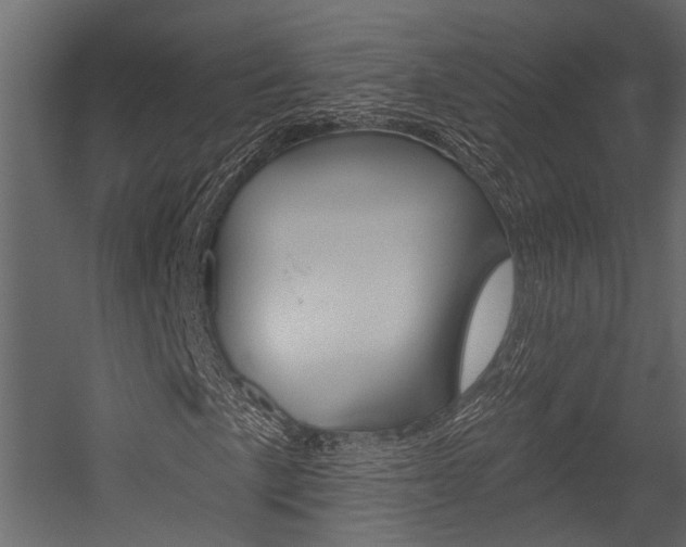 X0000054421057200507290920
